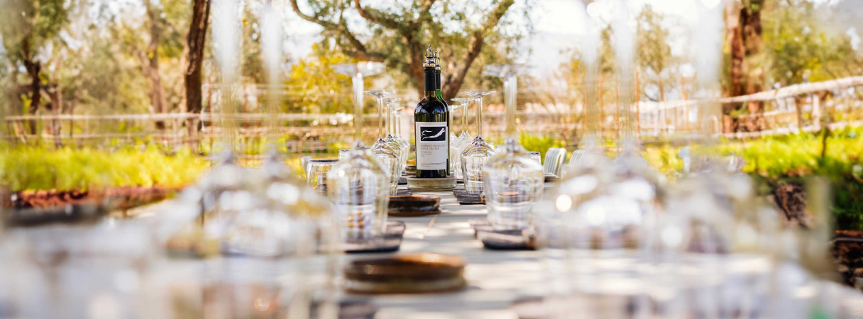 2021 Estate Grown Cabernet Sauvignon | Frog's Leap Winery