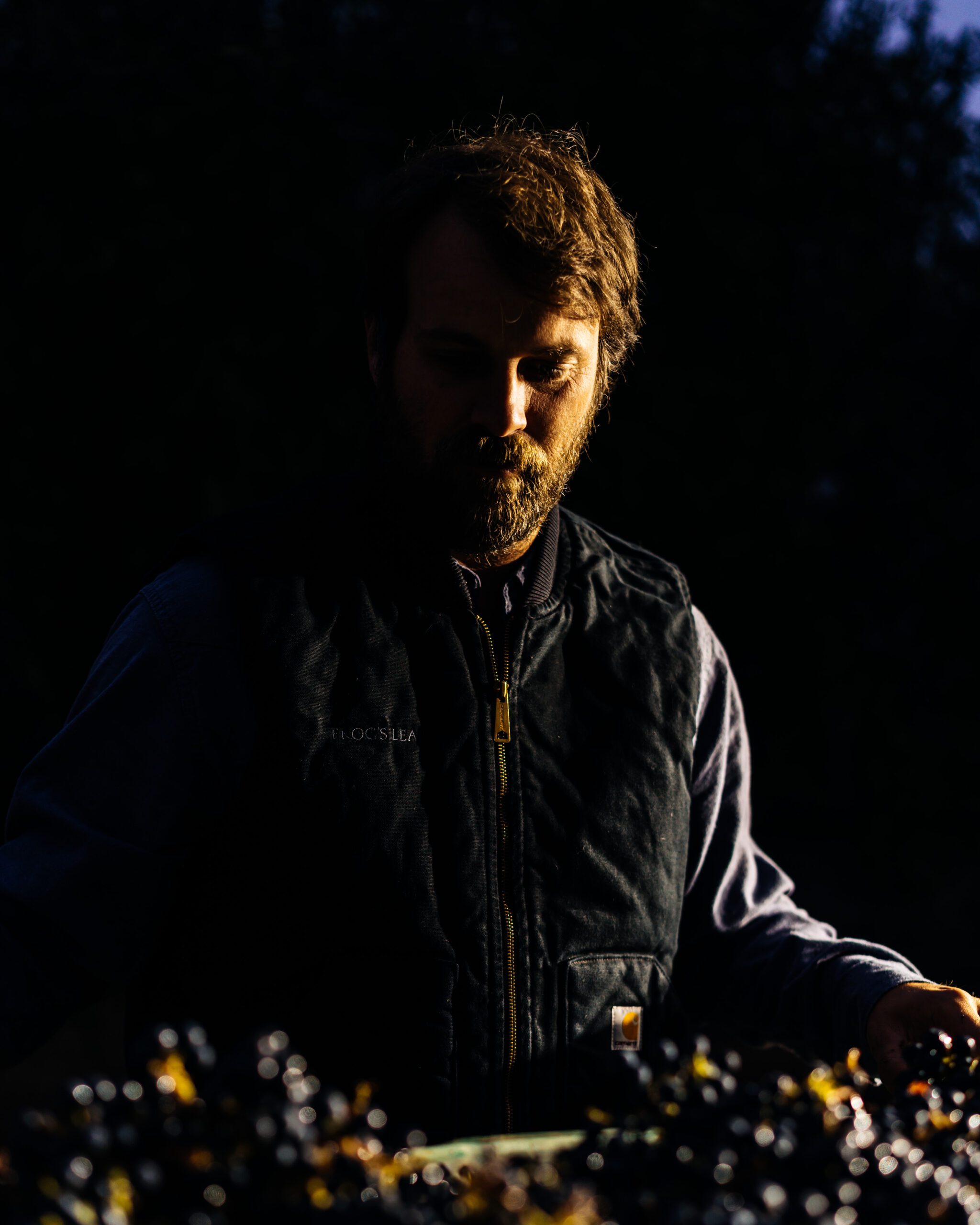 2021 Estate Grown Cabernet Sauvignon | Frog's Leap Winery