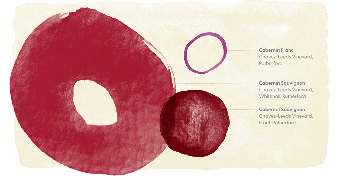 2019 Cabernet Sauvignon Chavez Leeds Vineyard | Frog's Leap Winery